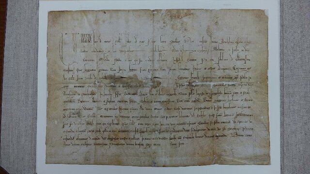 Bula Manifestis Probatum