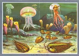 375 milions de años