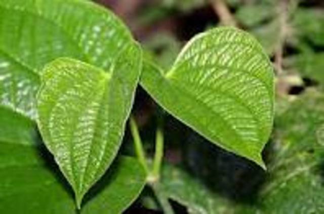 Fall of the Roman Empire