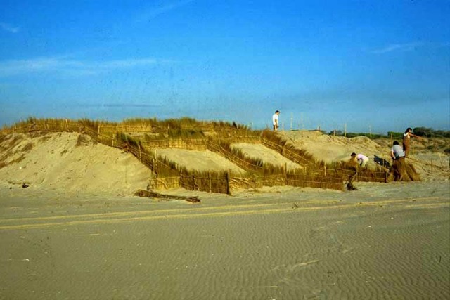 Entre 1997 y 2000 se procede a la restauración de la playa del Saler para la regeneración de dunas móviles las cuales constituyen una barrera natural para los vientos abrasivos procedentes del mar.