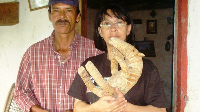 Corporación Valle del Paraíso