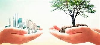 Proyecto Millennium de Naciones Unidas