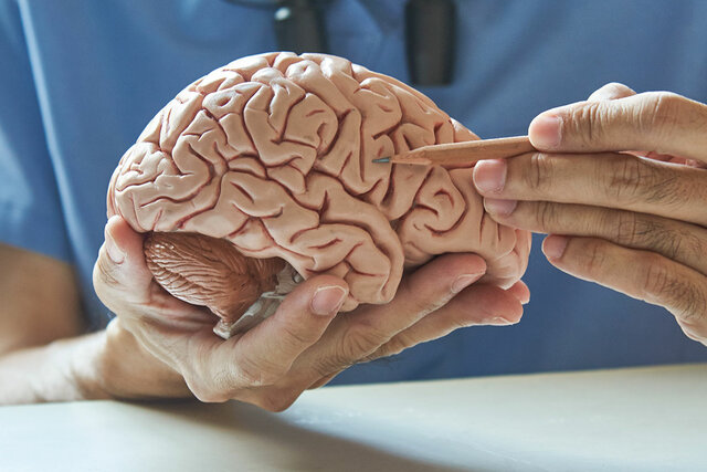 En los años (1970 - 1980)