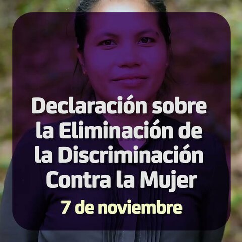Declaración sobre la eliminación de la discriminación contra la mujer