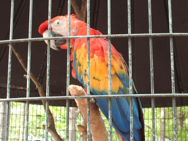 Camp hanes omega psi phi fraternity