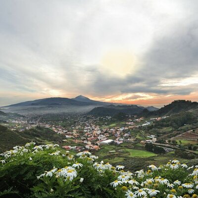 Timeline: La Laguna_Sociedad
