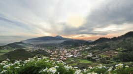 Timeline: La Laguna_Sociedad