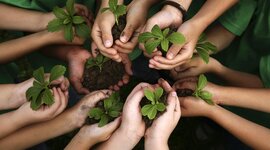 Timeline: Educación Ambiental, por Brayan Garavito