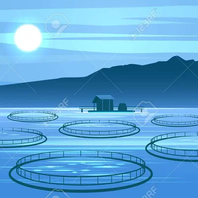 Timeline: Acquacoltura