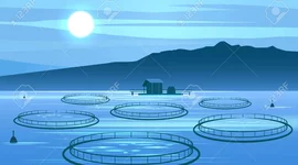 Timeline: Acquacoltura