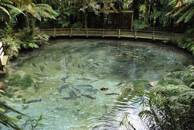 Realizzazione cartelloni