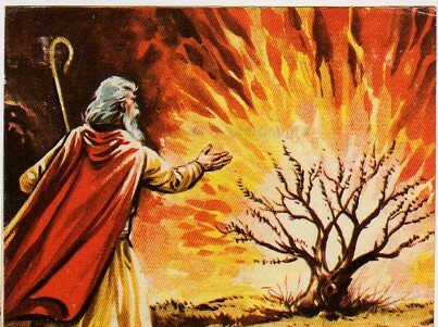 EL LLAMADO DE MOISES