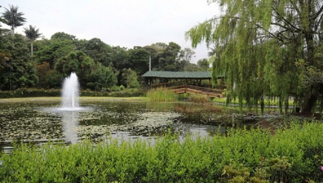 La basura no es basura