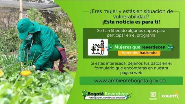 Mujeres que Reverdecen