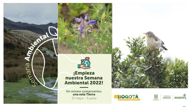 semana ambiental