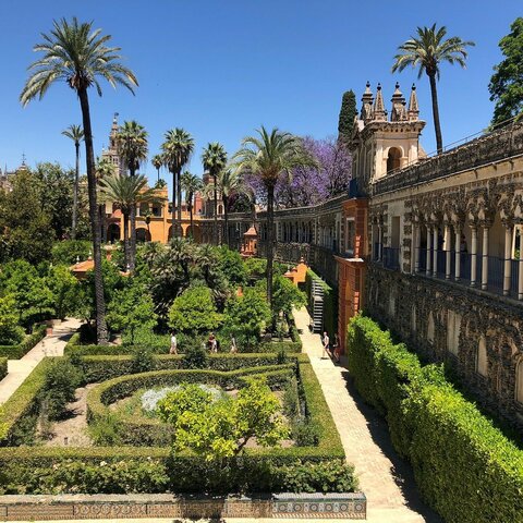 The Real Alcázar