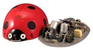 Dr Muszka Dániel szegedi Katicabogár