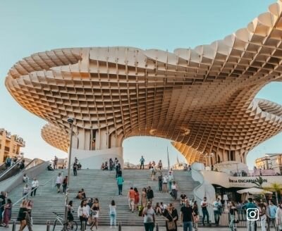The Mushrooms of Seville