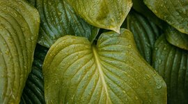 Timeline: Momentos importantes entorno a la educación ambiental