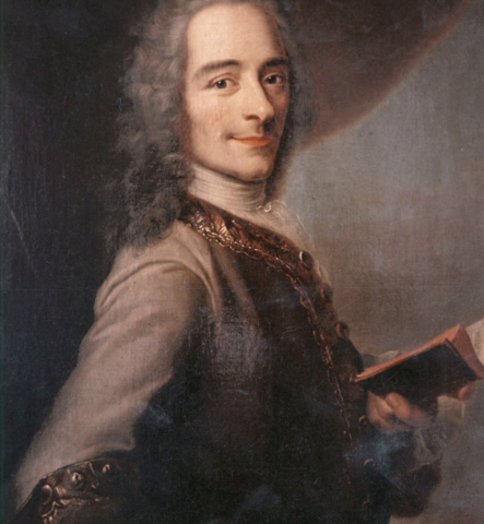 Voltaire exploration