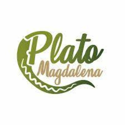 Timeline: Linea de Tiempo Plato Magdalena