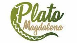 Timeline: Linea de Tiempo Plato Magdalena
