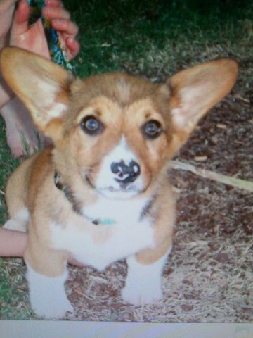 Got my favorite puppy!!! :) <3