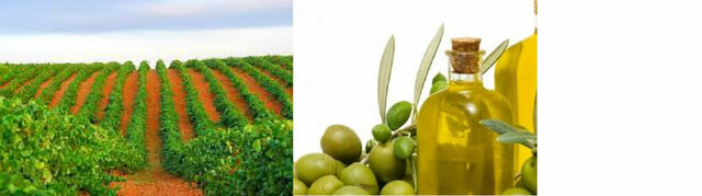 CAMBIOS EN LA ECONOMIA