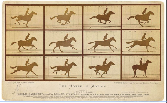 The Horse in Motion