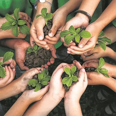 Timeline: Historia de la Educación Ambiental