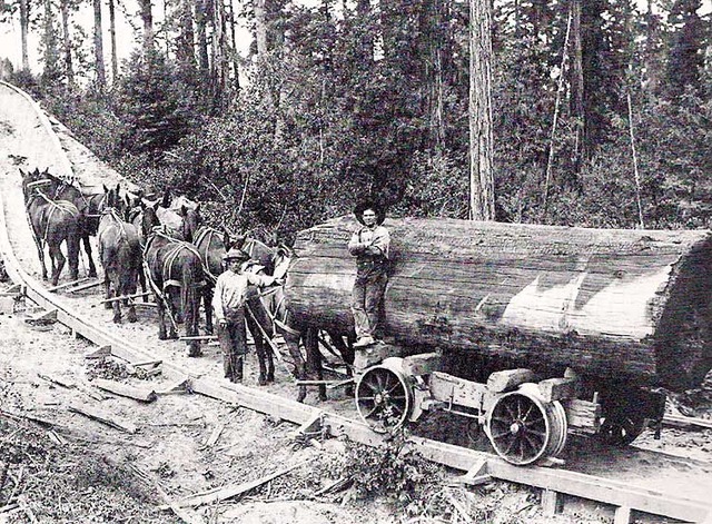 Railroads were replaced with iron instead of wood.