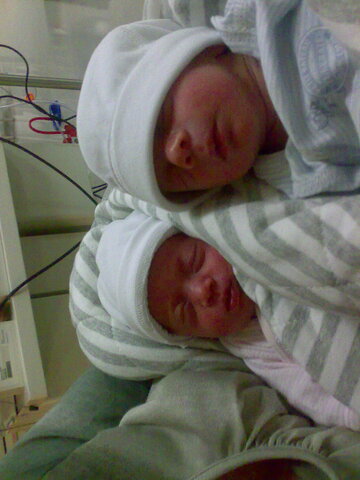 neixement de l'arnau