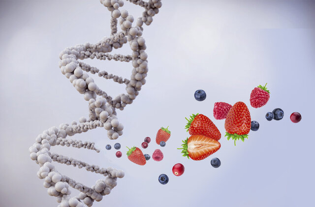 Interaccion nutriente-gen