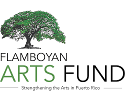 Flamboyan Arts Fund
