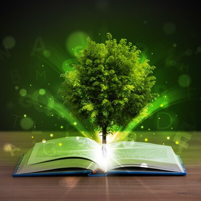 Timeline: HISTORIA DE LA EDUCACIÓN AMBIENTAL