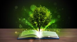 Timeline: HISTORIA DE LA EDUCACIÓN AMBIENTAL