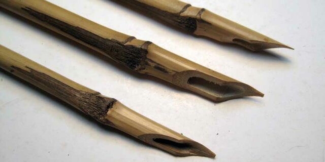 La pluma y los papiros