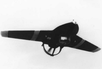 Modelo Aquila RPV-drone