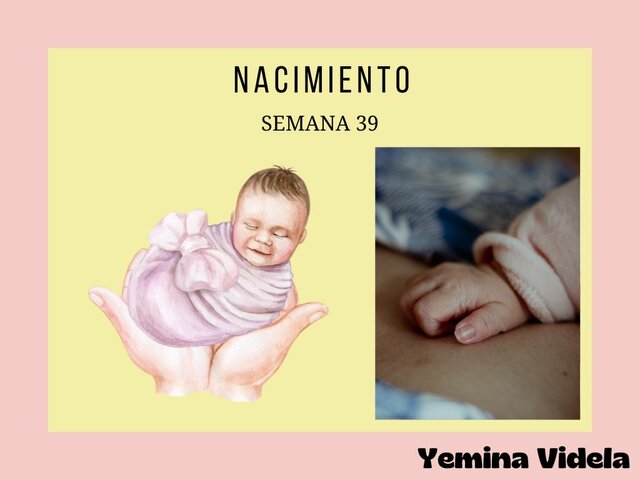 Nacimiento - Etapa 4