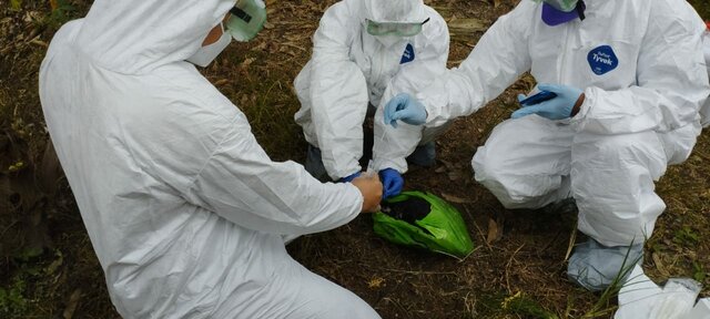 PENGAMBILAN SAMPEL AI