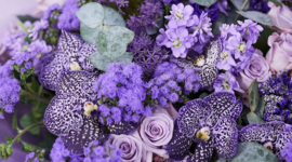 Timeline: Алевтина цветы