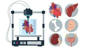 (IMPACTO)5- Creación de la bio-impresión