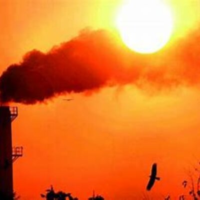 Timeline: La Contaminación