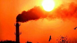 Timeline: La Contaminación