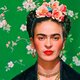 Frida kahlo 1670332613