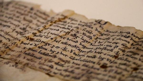 HOMILIES D’ORGANYÀ