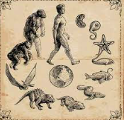 𝓔𝓵 𝓸𝓻𝓲𝓰𝓮𝓷 𝓭𝓮 𝓵𝓪𝓼 𝓮𝓼𝓹𝓮𝓬𝓲𝓮𝓼