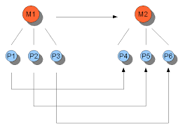 Multiple Realizability