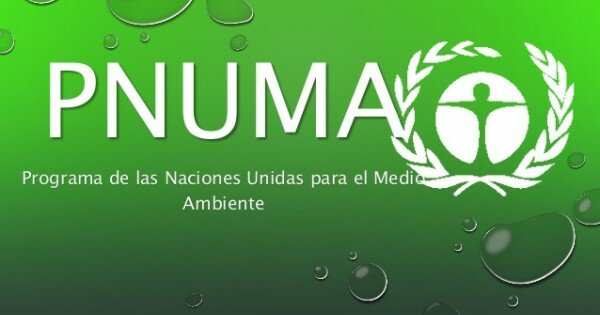 Programa de las Naciones Unidas para el Medio Ambiente (PNUMA),