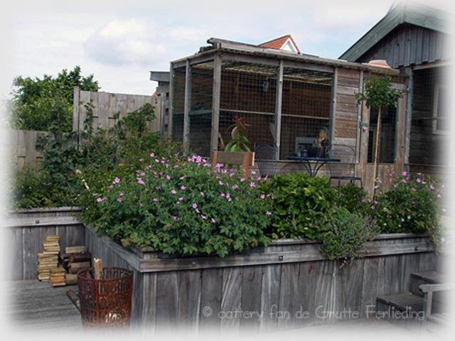 Mugje is uit logeren gegaan bij Erik